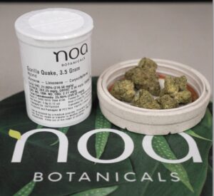 A container and a small dish with the Gorilla Quake Cannabis Strain, labeled "3.5 grams," from Noa Botanicals, rest elegantly on a branded mat.